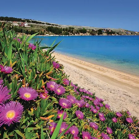 Апартаменты Amazing In Pag With House Sea View Паг